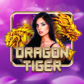 Dragon Tiger - Video game console game