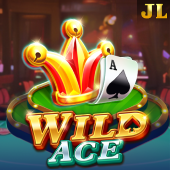 Wild Ace - Video game console games